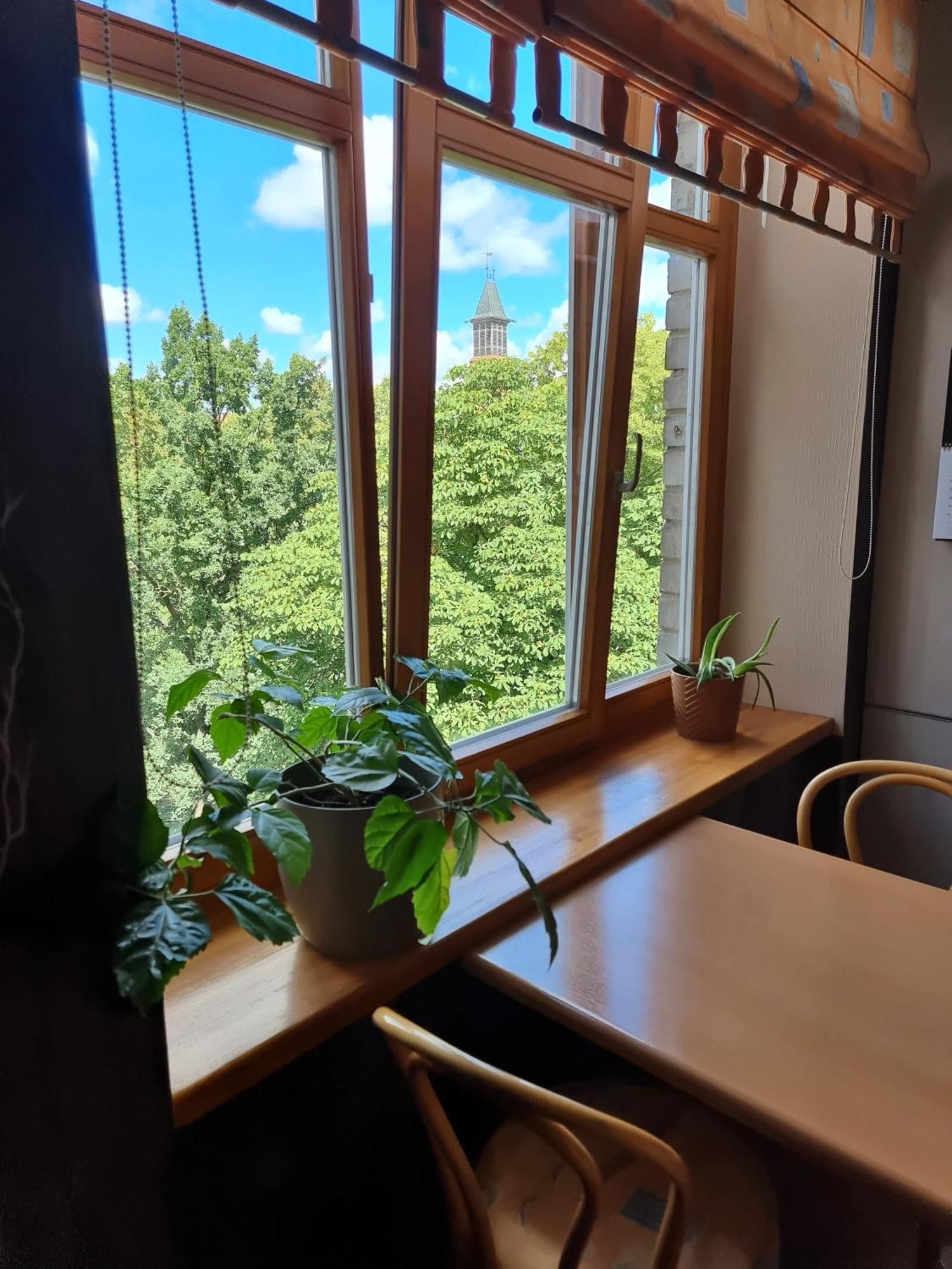 Js Apartamentai Su Savarankisku Isiregistravimu كلابيدا المظهر الخارجي الصورة
